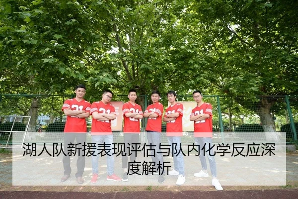湖人队新援表现评估与队内化学反应深度解析