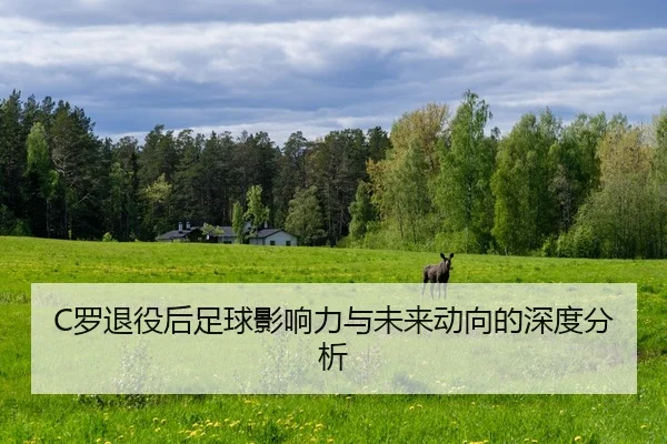 luo-tui-yi-hou-zu-qiu-ying-xiang-li-yu-wei-lai-dong-xiang-de-shen-du-fen-xi-2-646.jpg